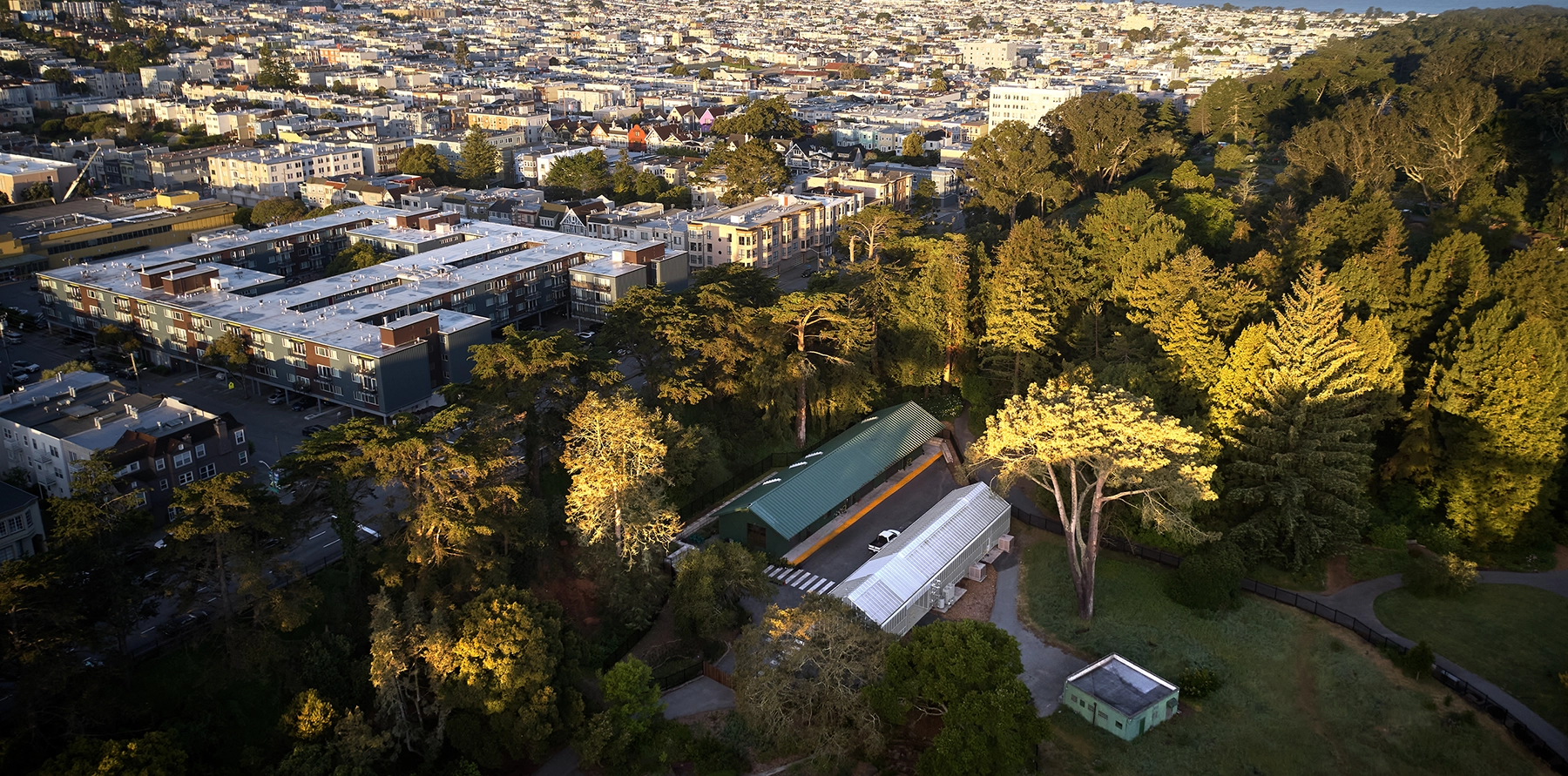 San Francisco Botanical Gardens